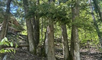 5436 Valley Rd, Alanson, MI 49706