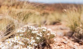 El Rito Estates, Abiquiu, NM 87510