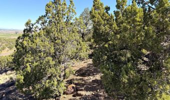 1037 S Canyon Dr, Cedar City, UT 84720