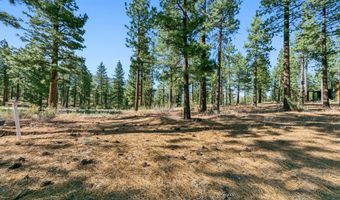 238 Redding Way, Carson City, NV 89705