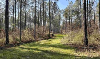 Highway 28, Abbeville, SC 29620