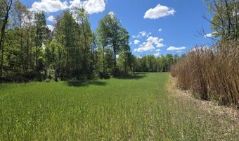 15252 27 Mile Rd, Albion, MI 49224