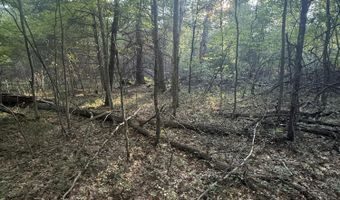 Michael Drive, Alger, MI 48610