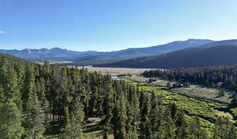 110 Pine Tree Ln, Almont, CO 81210