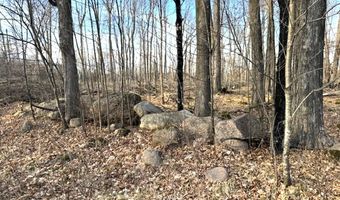 Lot 2 THORN APPLE DR, Wittenberg, WI 54499