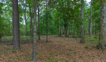 23826 Opine Rd, Andalusia, AL 36421