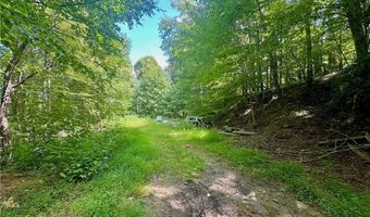 565 Grays Shadow Ln, Banner Elk, NC 28604