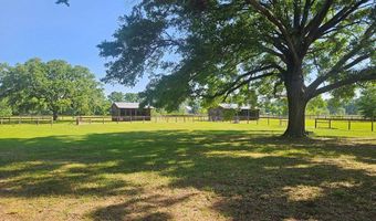 4740 10th St, Bell, FL 32619