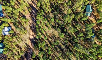 20 Co Rd 2067, Alpine, AZ 85920