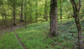 425 Rose Hill Rd, Bentonia, MS 39040
