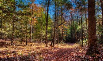 54 E Ridge Rd, Allardt, TN 38504