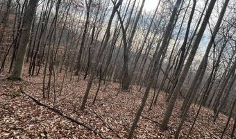 1383 HogBack Rd, Albany, KY 42602