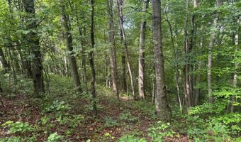 37928 Buck Run Rd, Albany, OH 45710