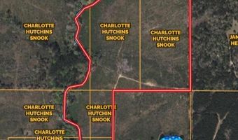 Delancey Road, Braxton, MS 39044