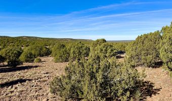 Kirkland DR 20 Acres, Concho, AZ 85924