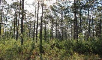 Ruffner Road 00, Barnesville, GA 30204