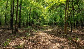 Cave Creek Road, Batesville, AR 72501