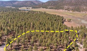 County Road 2325, Alpine, AZ 85920