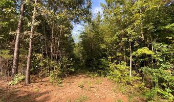 18 62 Ac Squirrell Hollow Rd, Alberta, VA 23821