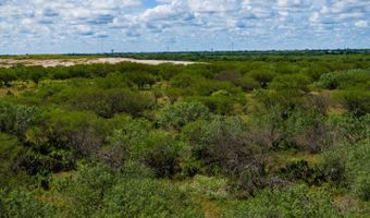 County Road 119, Alice, TX 78332