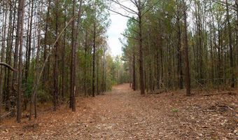 00002 Trickhambridge Rd, Brandon, MS 39042