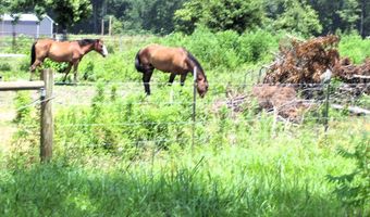 138 Little River 183, Ashdown, AR 71822
