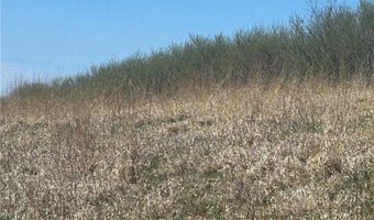 gentryville Trail Trail, Albany, MO 64402