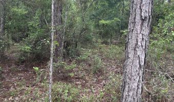Abraham Street, Alford, FL 32420