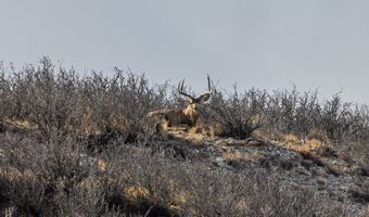 TBD Iron Mountain Rd, Chugwater, WY 82210