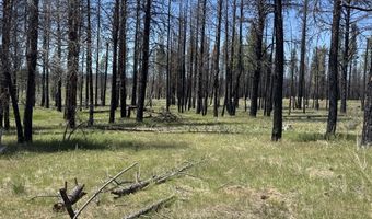 Off Hicks Road Lot 3, Bly, OR 97622