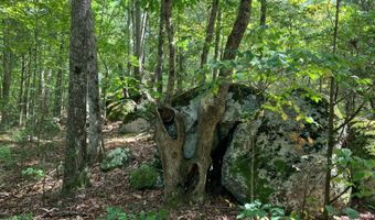 Brookside Drive, Abbeville, SC 29620