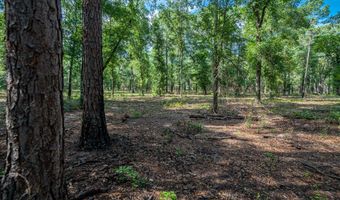 86 Willow Nook, Arlington, GA 39813