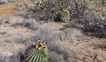 3345 E Swallowtail Ln, Tucson, AZ 85739