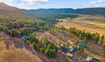 County Road N2144, Alpine, AZ 85920