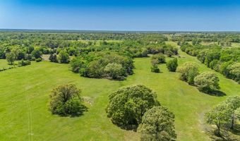 Tbd TBD RS County Road 2365, Alba, TX 75410