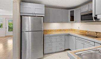 34 Twining Flats Rd, Aspen, CO 81611