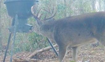 00 Ebenezer Church Rd, Bassfield, MS 39421