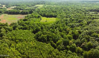 Beech Bluff Road, Beech Bluff, TN 38313