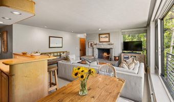 728 S Galena St 202-B, Aspen, CO 81611
