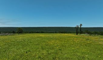 001 N 4220 Rd, Antlers, OK 74536