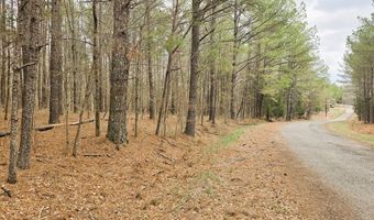 Zig Zag, Big Sandy, TN 38221