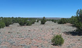 Tbd Rio Ranch, Concho, AZ 85924