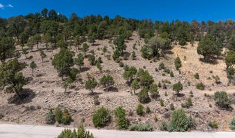 Stable Road 3, Alto, NM 88312