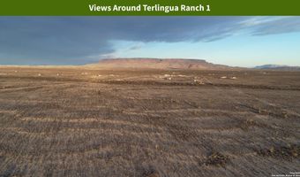 Ivy Rd, Alpine, TX 79830