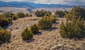 Cedar Grove Rd. lot 73, Beulah, CO 81023