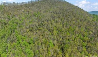 21 Reillys Bluff Rd 1, Barnardsville, NC 28709