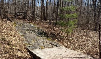 L21.1 Alder Pond Road, Andes, NY 13740