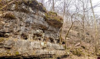 CR 19-A, Alton, MO 65606