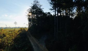 644 Ash-Harrel Loop, Abbeville, GA 31001
