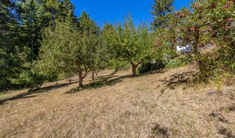 31026 Albion Ridge L Rd, Albion, CA 95410